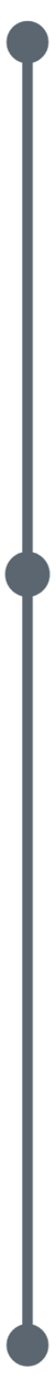Timeline Timeline